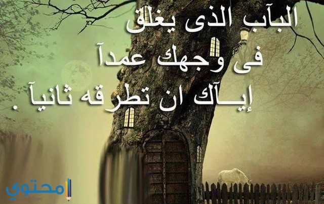 بوستات فيس بوك جديدة