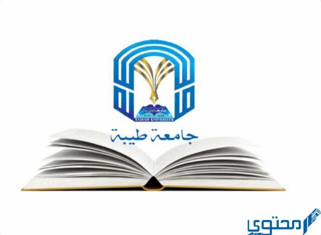 تخصصات جامعة طيبة 1446 في ينبع والمدينة المنورة