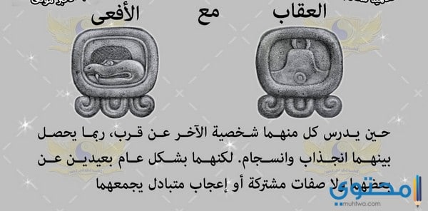 توافق أبراج المايا بالكامل