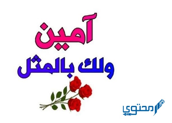 الرد على بيض الله وجهك