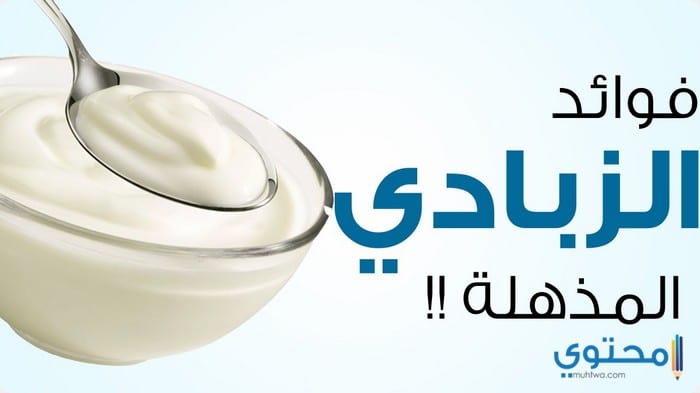 فوائد الزبادى