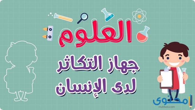 بحث عن جهاز التكاثر في الإنسان