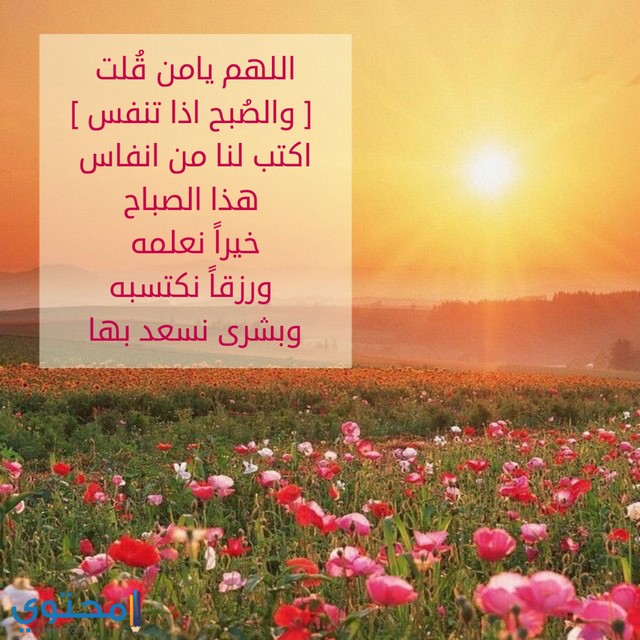 حالات صباح الخير اسلامية