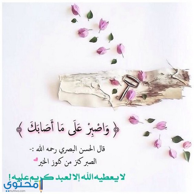 اجمل الصور حالات للواتس اب