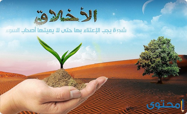 حسن الخلق والأخلاق الحميدة