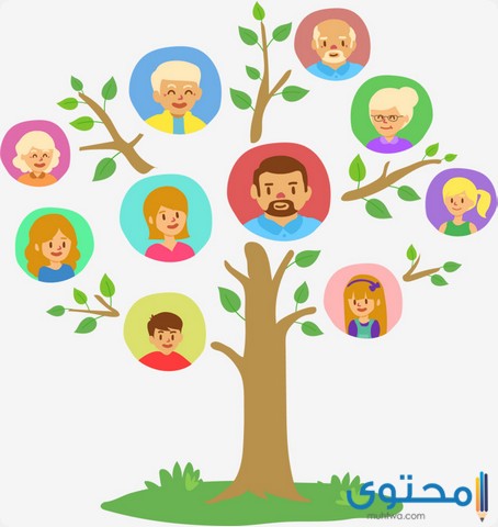 دار المحفوظات المصرية 