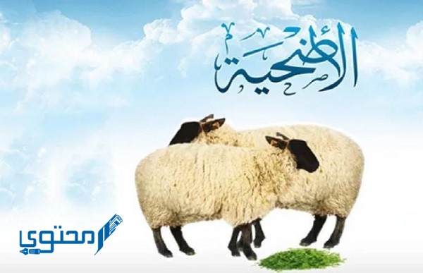 دعاء ذبح الأضحية عند أهل السنة