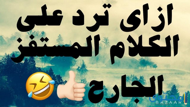 رد على تعليق مستفز