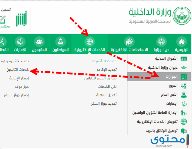 رسوم المرافقين 