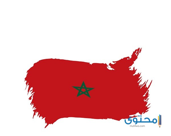 رسومات علم المغرب للتلوين