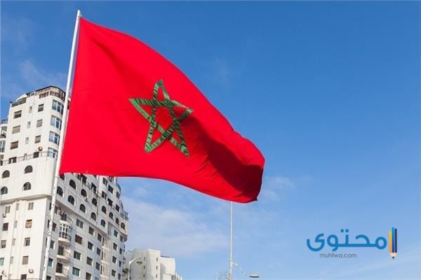 رسومات علم المغرب للتلوين