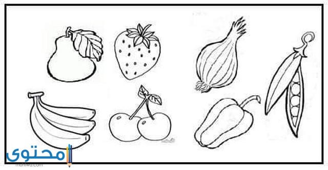 رسومات تلوين عن الغذاء الصحي