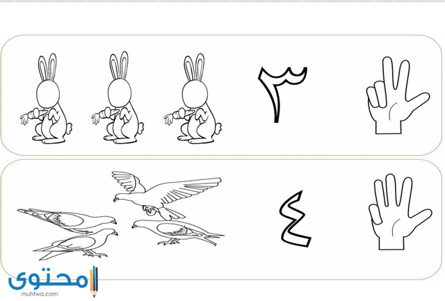 ارقام للتلوين بالعربي