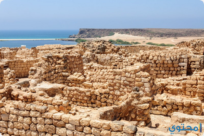 صور ومعالم أماكن سياحية في صلالة موصي بها