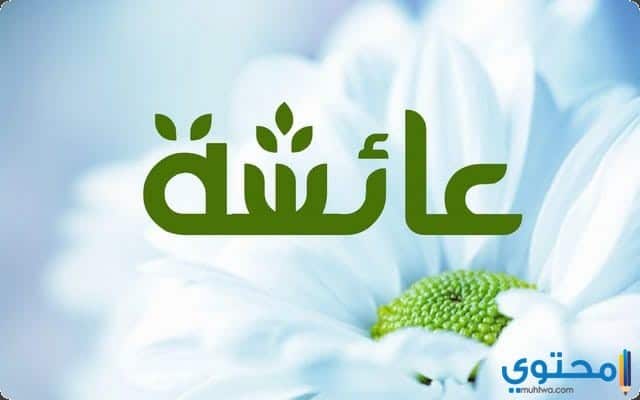 نبذة مختصرة عن السيدة عائشة