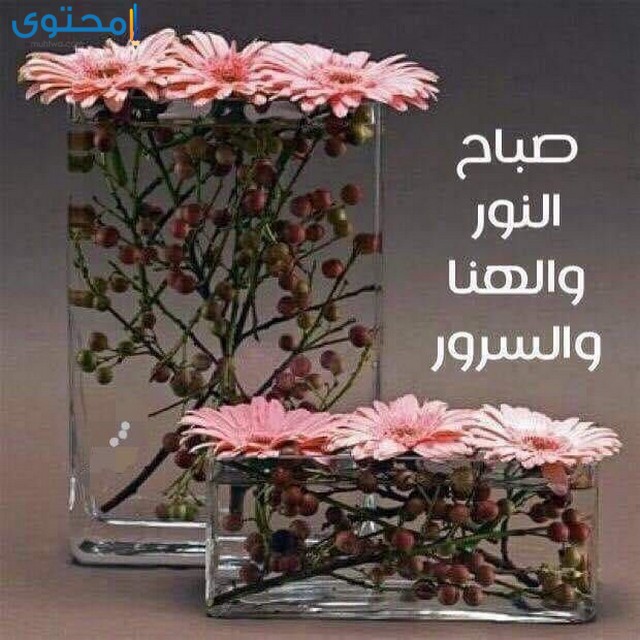 صور صباح النور والسرور