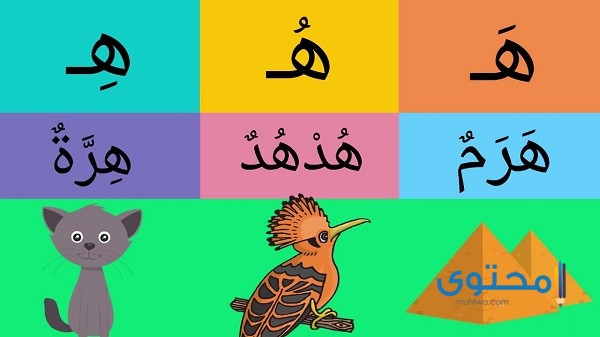 صفات تبدأ بحرف الهاء