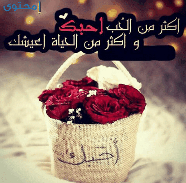 صور عن الازواج