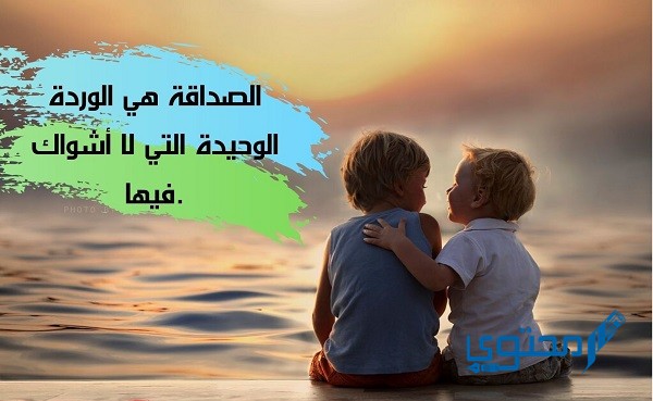 كلمات عن الصداقة