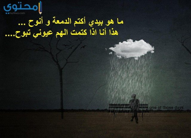 صور فراق