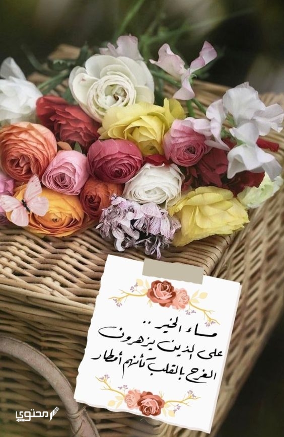 صور مساء الفل والخير جديدة 2025