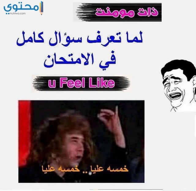 نكت مضحكة جدا