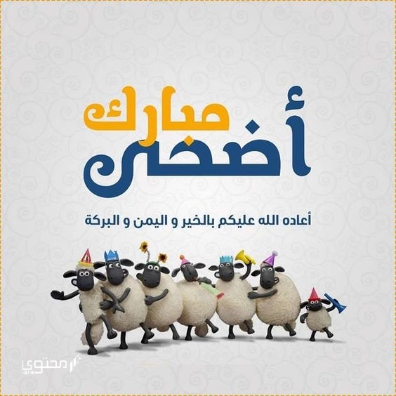 صور مضحكة عن عيد الأضحى 2023.. تنشر البهجة بمجيء العيد