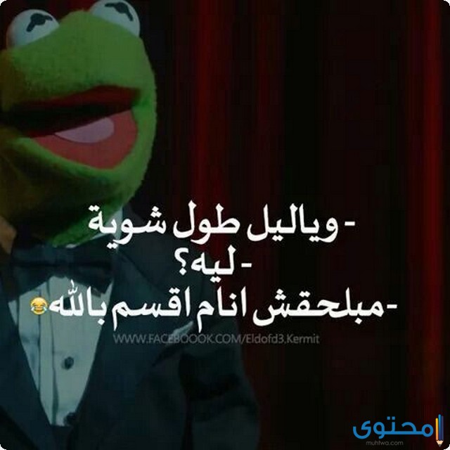 صور مضحكة