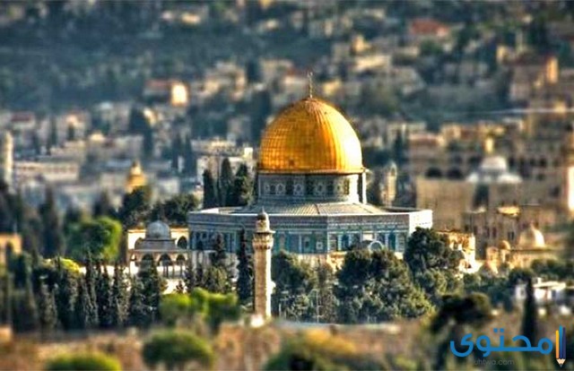 القدس عاصمة فلسطين