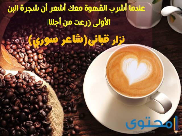 عبارات عن قهوة المساء