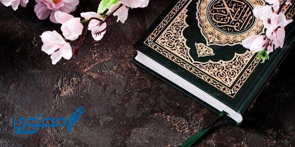 علاج القرين بسورة ق وفضلها