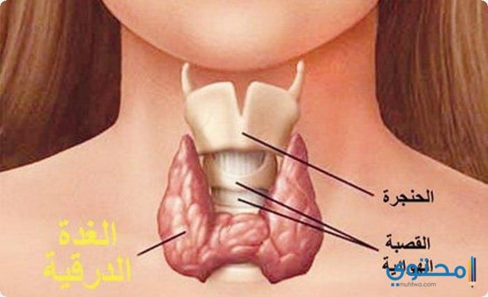 علاج تضخم الغدة الدرقية