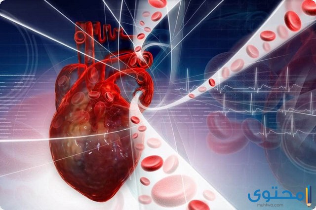 فاسكولار (Vascular) دواعي الاستعمال والاثار الجانبية