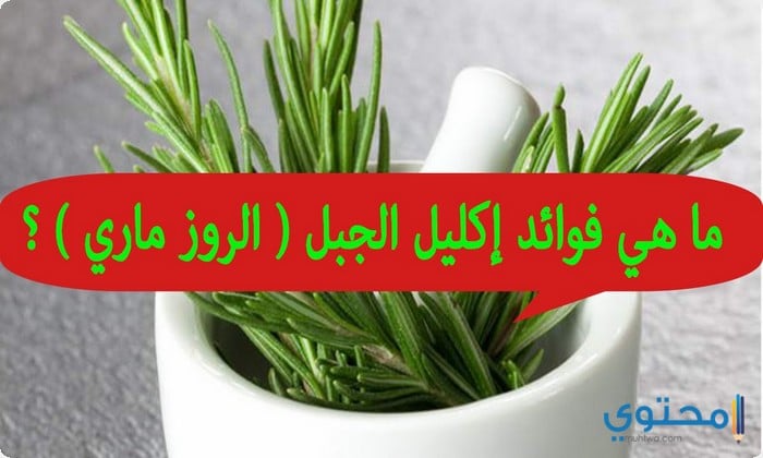 فوائد الروزمارى