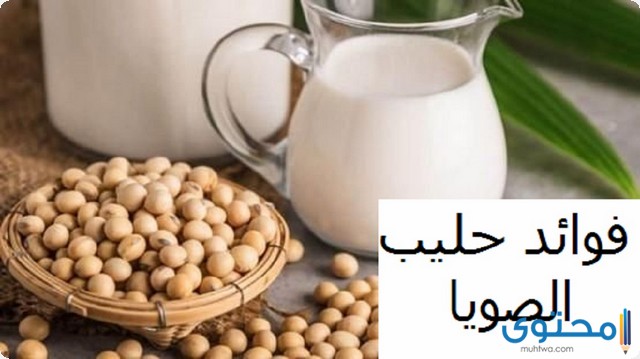 فوائد حليب فول الصويا لتكبير الثدي