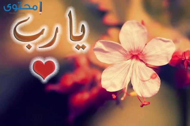 رمزيات دعاء يارب