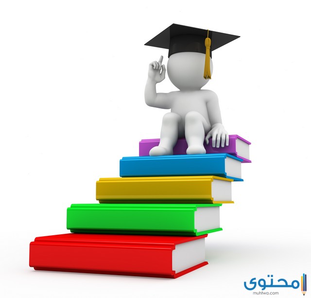  نظام الجامعات الجديد