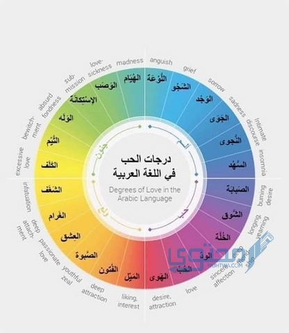 ما هي درجات الحب والعشق بالترتيب