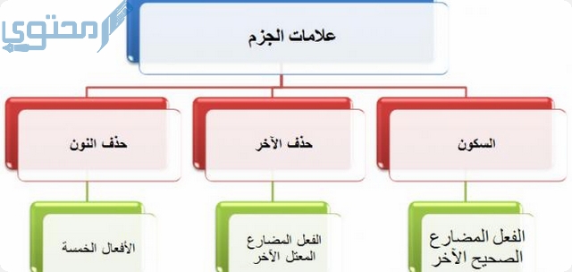 علامات جزم الفعل المضارع