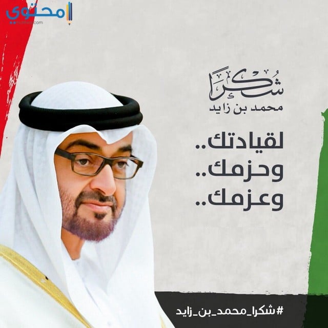 سمو الامير محمد بن زايد 