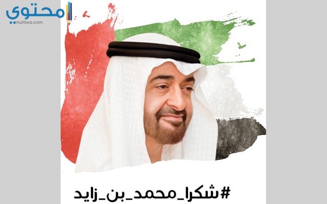 صور محمد بن زايد 2020