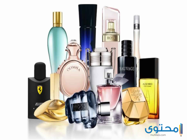 هل عطور نون اصلية